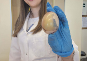 uczenica liceum trzyma jajko bez skorupki