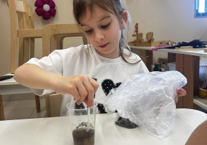 Doświadczenie "Co rozpuszcza się w wodzie?" - dziewczynka sypie kawę