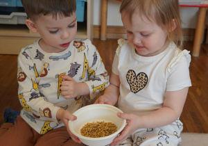 dzieci oglądają nasiona owsa