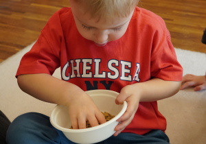 chłopiec dotyka nasion owsa