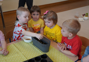 chłopiec sieje owies