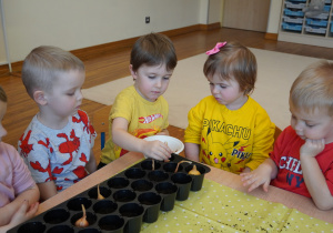 chłopiec sadzi cebulkę