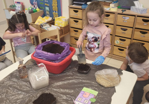 dziewczynka wsypuje ziemię do pojemnika