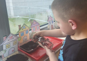 chłopiec spryskuje ziemię wodą