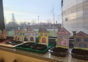 ogródki na parapecie , oczekiwanie na wzrost roślin