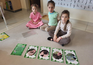 przedszkolaki siedzą na dywanie i układają obrazki z etapami siania roślin w odpowiedniej kolejnościami siania r