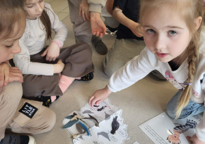 dziewczynka dopasowuje sylwetę ptaszka