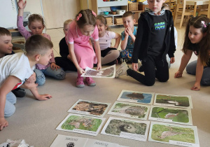 dziewczynka kładzie kartkę z obrazkiem pisklątkami jednego z poznanych ptaków