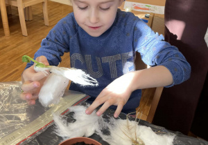 Kinga przesadza fasolę do ziemii