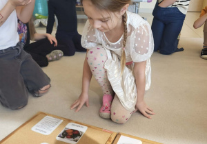 Dziewczynka poznaje rodzaje tradycyjnych pisanek na tablicy edukacyjnej.