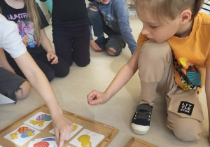 Chłopiec dopasowuje sylwetki kurcząt w zabawie "znajdź cień".
