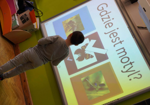 Chłopiec rozwiązuje na tablicy interaktywnej zadanie polegające na wskazaniu zdjęcia motyla.