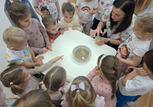 pani wykonuje doświadczenie