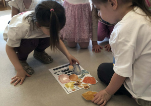 dzieci zapoznają się z piramida zdrowia