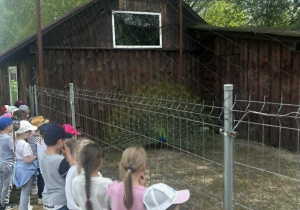 dzieci podziwiają pawia