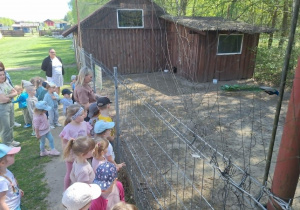 dzieci oglądają zwierzęta
