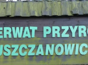 Wizyta w Rezerwacie Przyrody w Łuszczanowicach