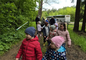 przedszkolaki spacerują parami po lesie