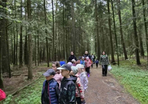 dzieci spacerują po lesie