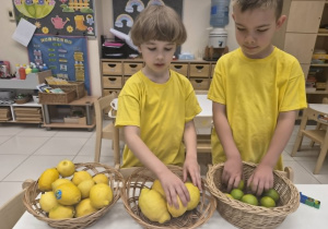 chłopcy segregują cytryny i limonki