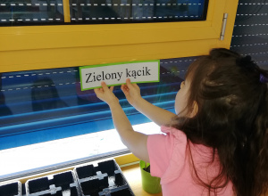 Zakładamy zielony kącik