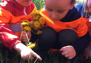 Dzieci na łące zrywają kwiatki