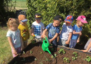 Dzieci podlewają zasadzone warzywa