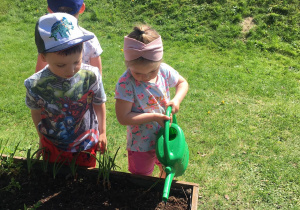 Dzieci podlewają zasadzone warzywa