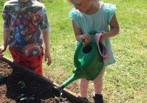 Dzieci podlewają warzywa
