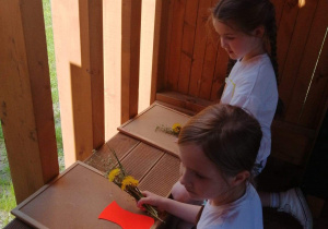 dziewczynki układają kompozycje z kwiatów
