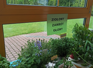 Ziołowy zawrót głowy