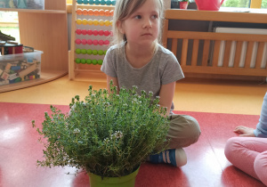 dziewczynka pokazuje swoją roślinę