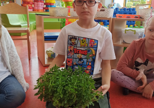 chłopiec pokazuje swoją roślinę