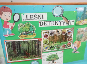 ,,Leśni detektywi" - podsumowanie projektu