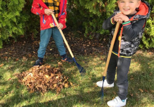 Chłopcy zagrabiają suche liście