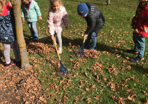 Dzieci zagrabiają liście w ogrodzie przedszkolnym