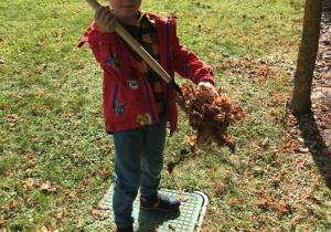 Chłopczyk zbiera suche liście