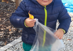 Chłopiec zbiera liście