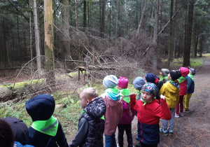 Dzieci obserwują leżące drzewa