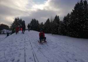 dzieci zjeżdżają sankami z górki