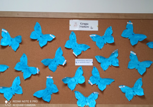 niebieskie motyle są wśród nas