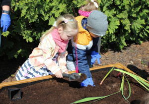dzieci sadzą kwiaty