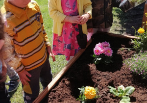 Dzieci podziwiają kwiaty