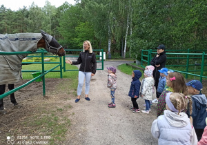 dzieci oglądają konie